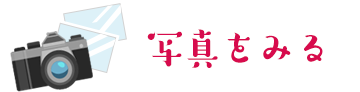 写真を見る