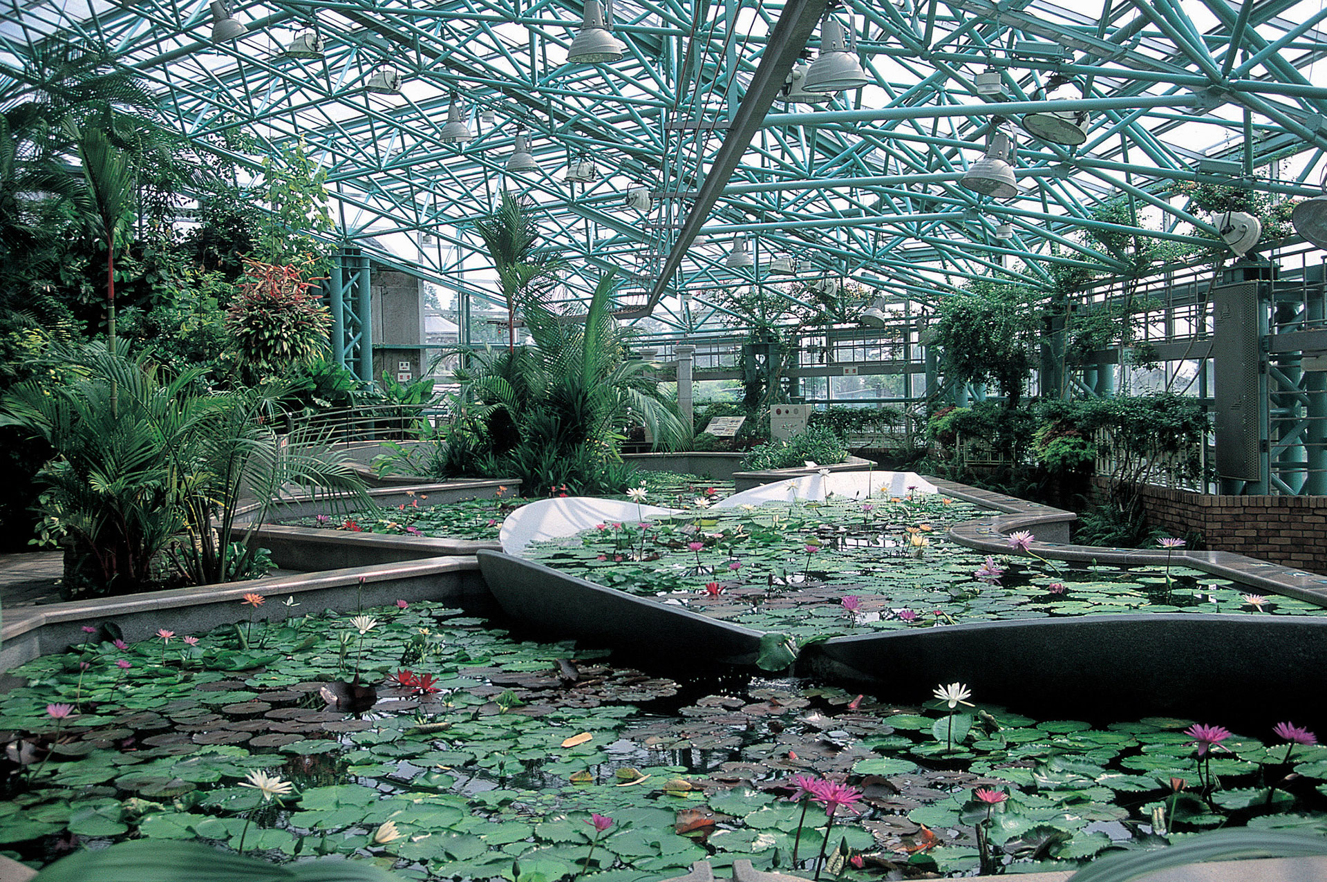 水生生物公園「みずの森」