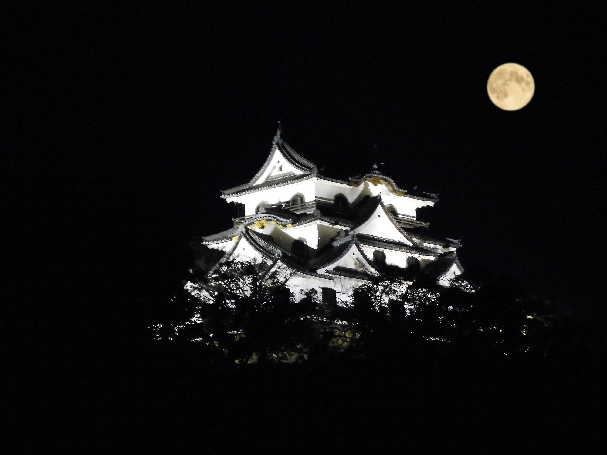 「月明」彦根の古城（琵琶湖八景）
