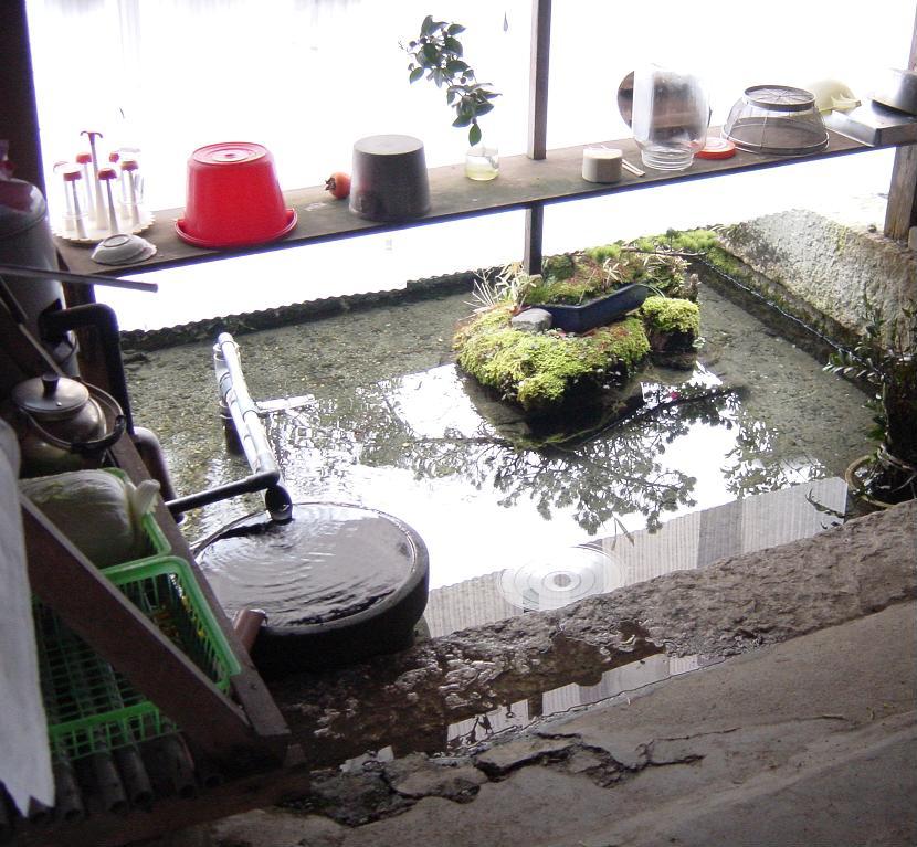 針江地区　川端（かばた）