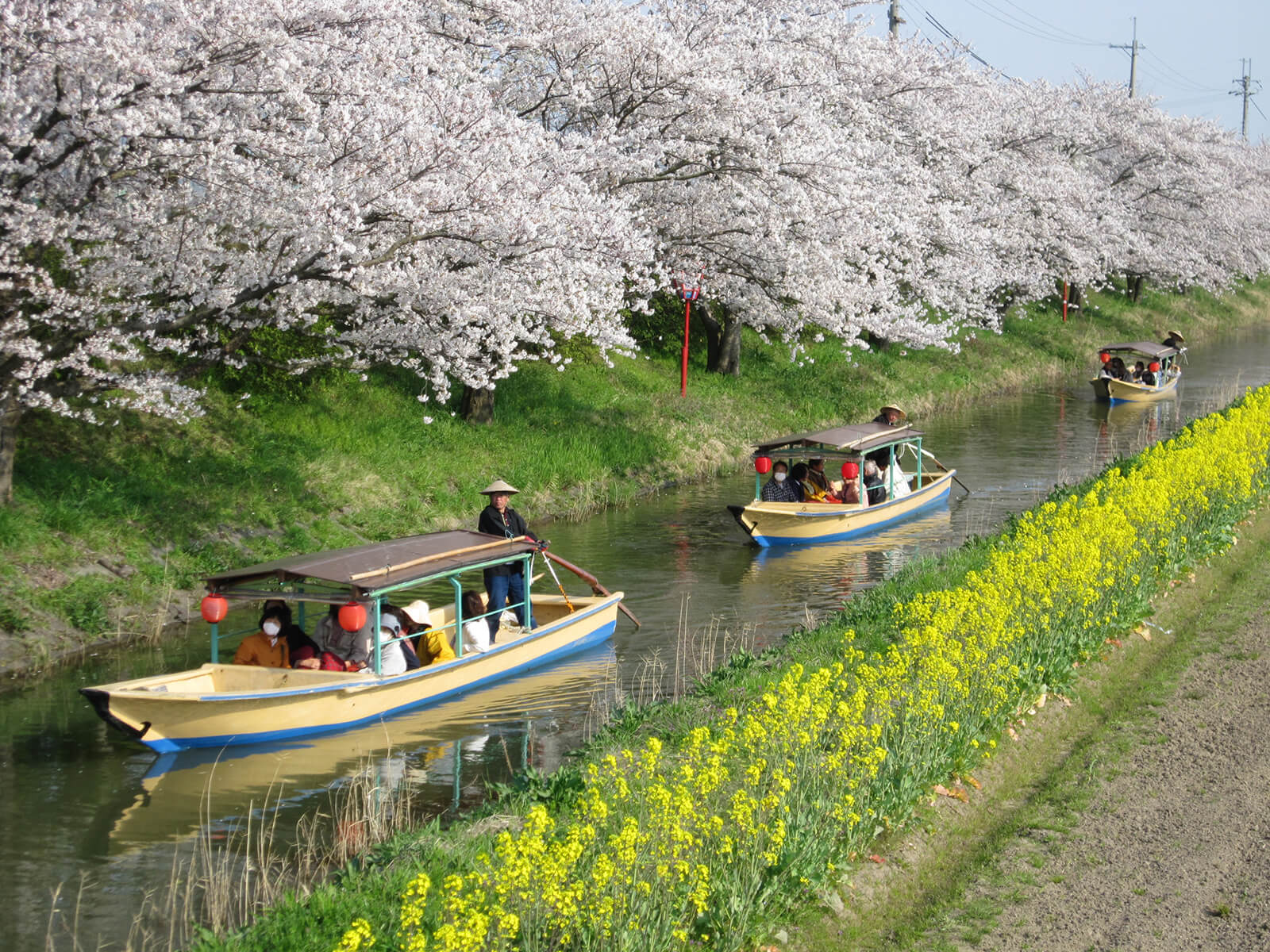 「春色」安土八幡の水郷（琵琶湖八景）