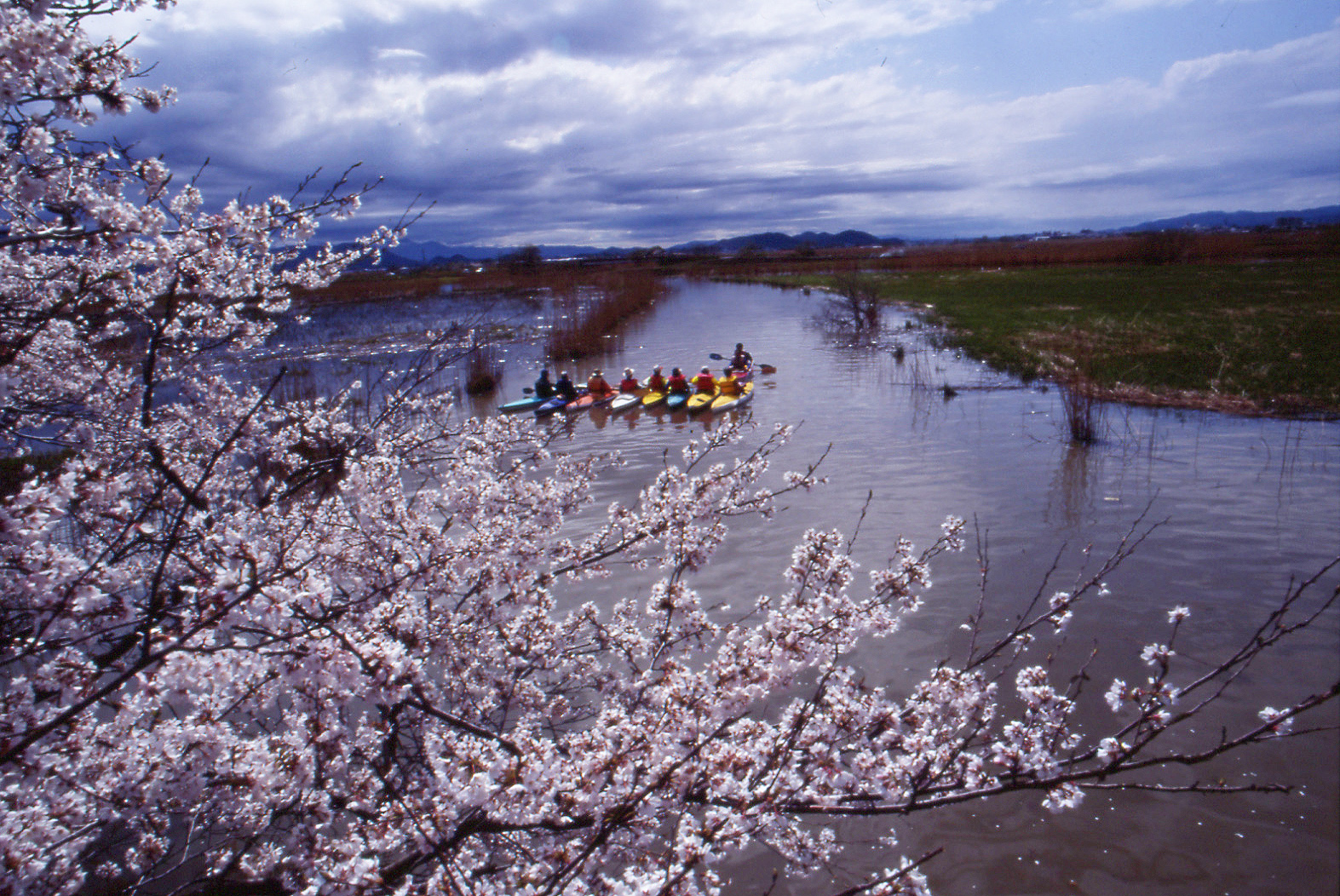 内湖（長命寺港）