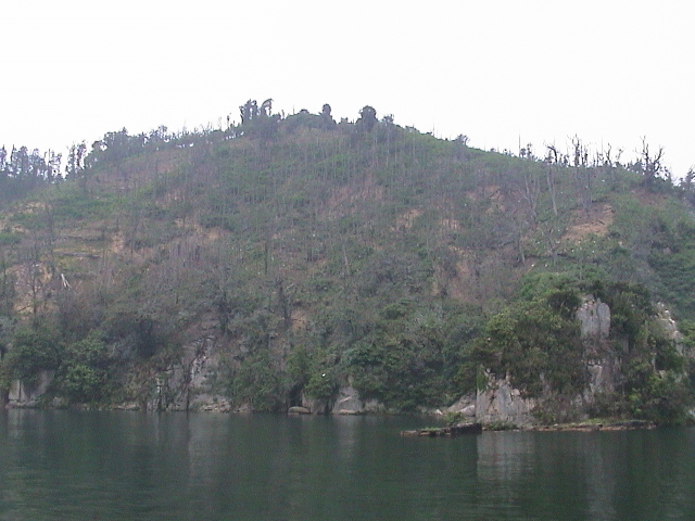 「深緑」竹生島の沈影（琵琶湖八景）