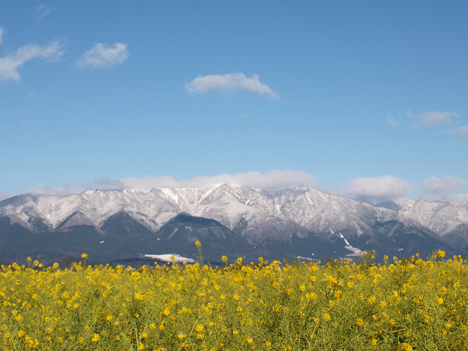 比良山系となぎさ公園