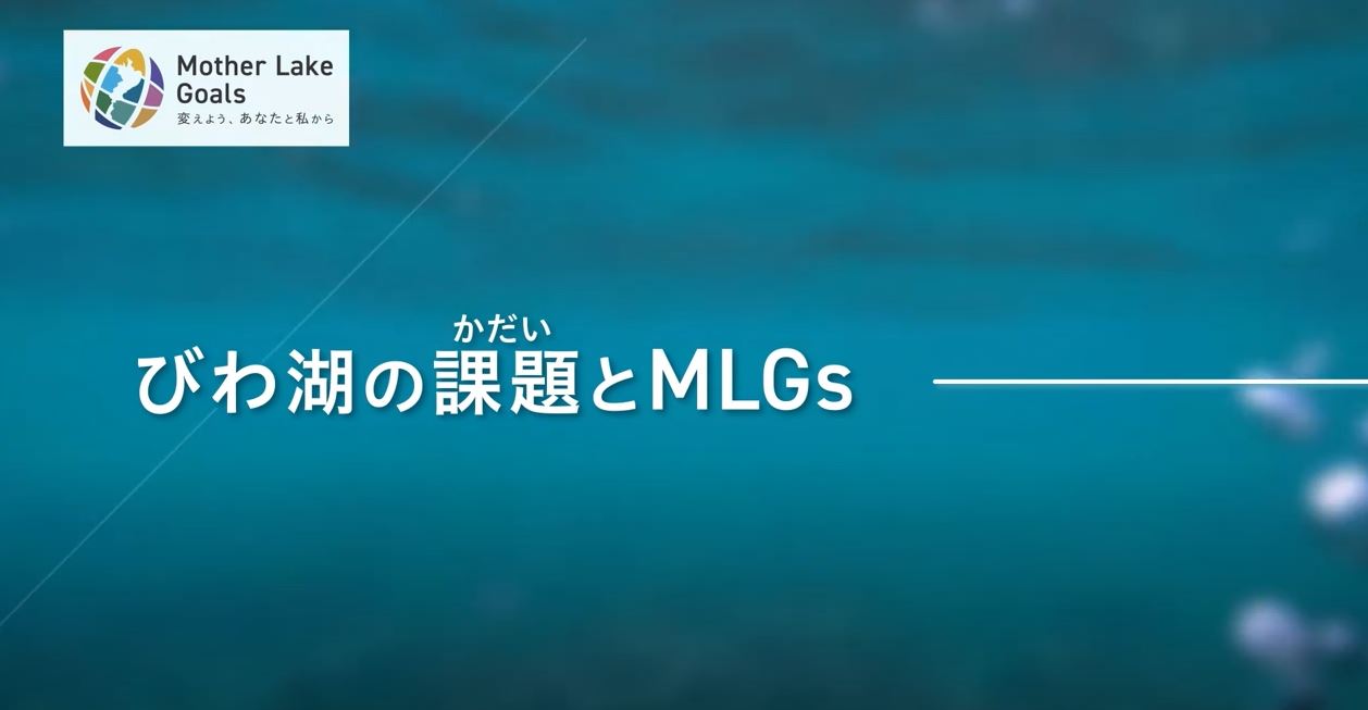 MLGs写真