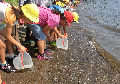 湖魚放流の様子