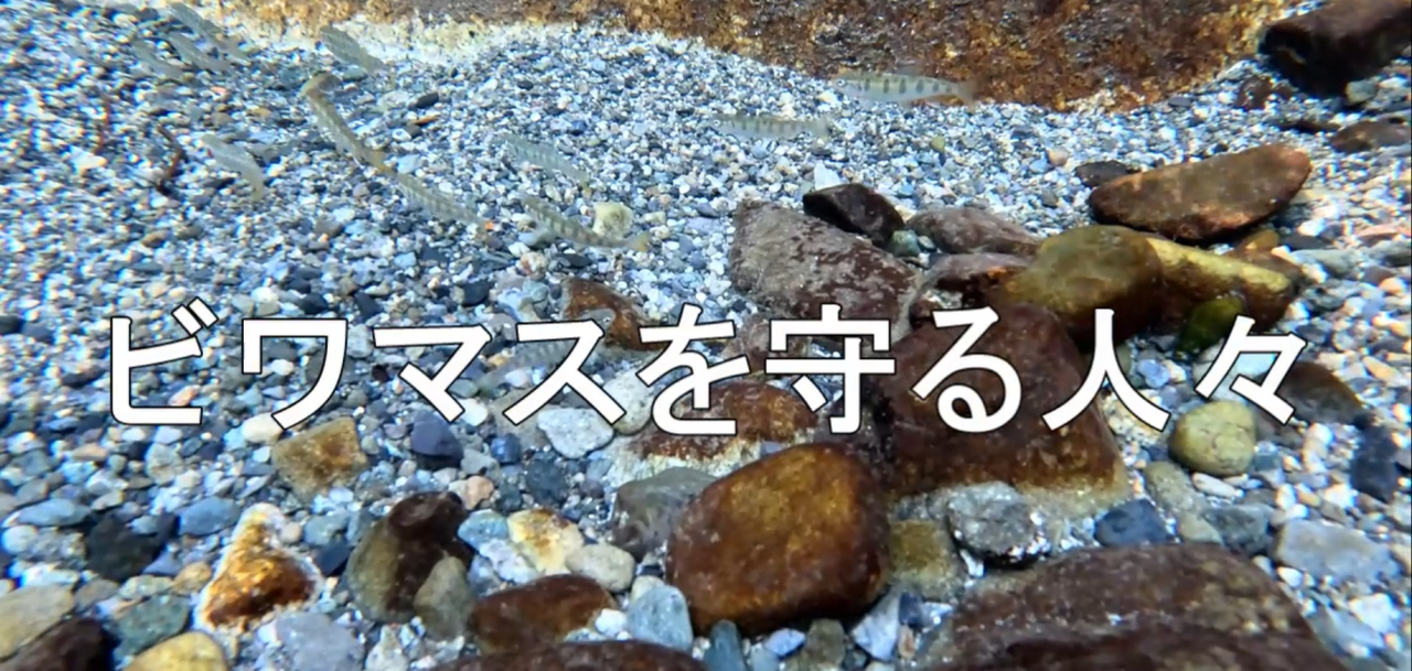 ビワマスを守る人々