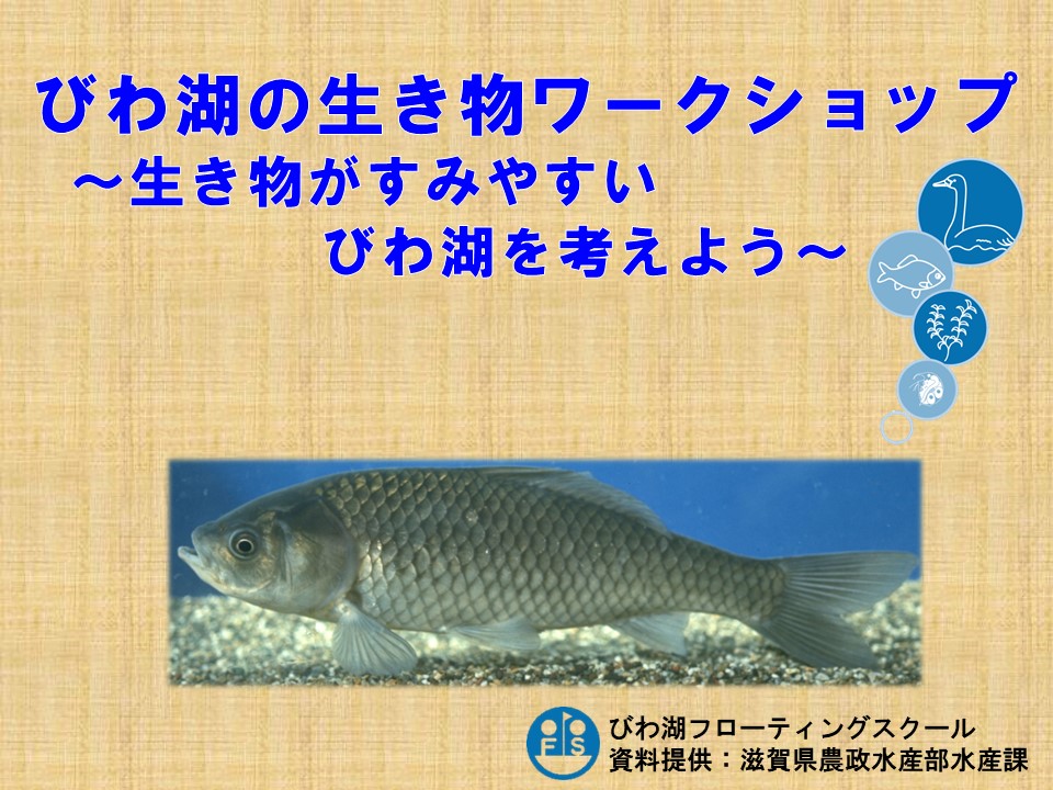 【進行用スライド】びわ湖の生き物ワークショップ